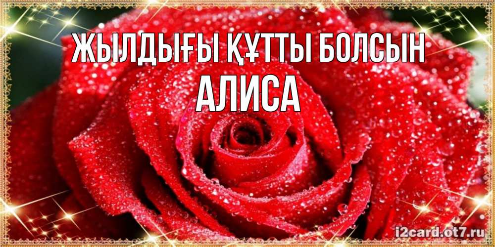Күн сайын ашық хат с именем, Алиса Жылдығы құтты болсын роса и роза. открытка с красивой розой Онлайн тегін жүктеп алу тілектері бар керемет карта 