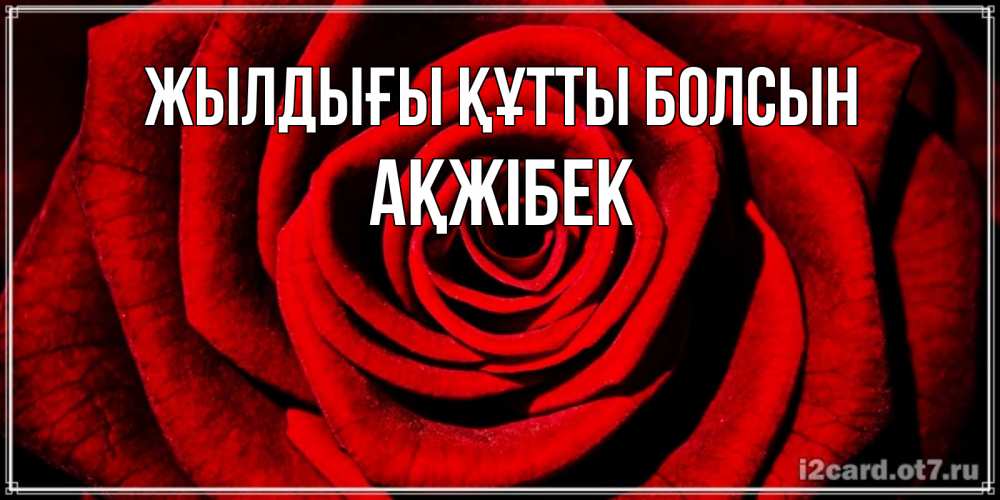 Күн сайын ашық хат с именем, АҚЖІБЕК Жылдығы құтты болсын алая роза Онлайн тегін жүктеп алу тілектері бар керемет карта 