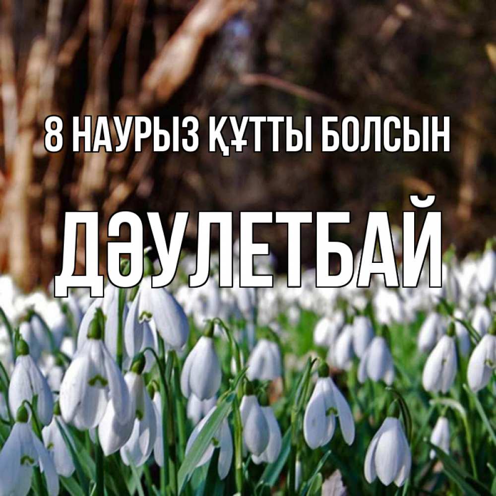 Күн сайын ашық хат с именем, Дәулетбай 8 наурыз құтты болсын с подснежниками 1 Онлайн тегін жүктеп алу тілектері бар керемет карта 