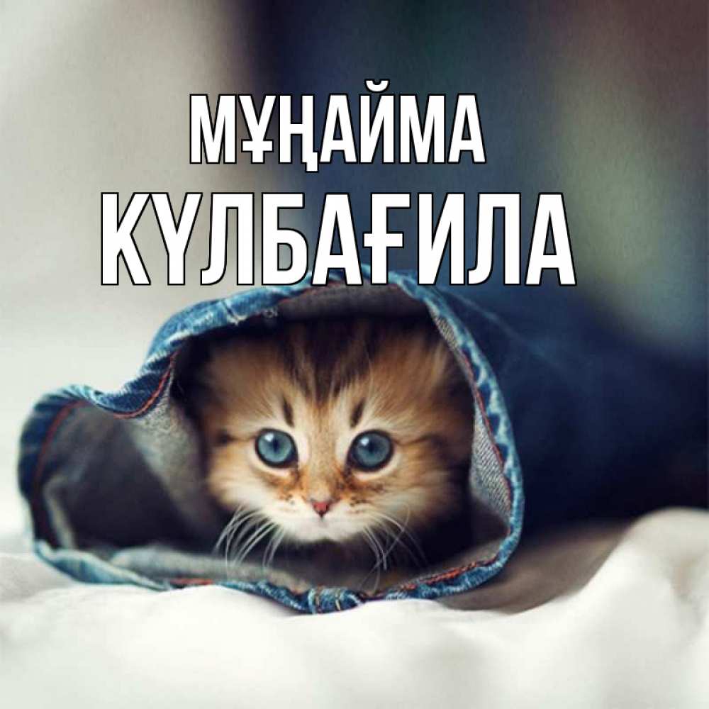 Күн сайын ашық хат с именем, КҮЛБАҒИЛА Мұңайма рыжик котик Онлайн тегін жүктеп алу тілектері бар керемет карта 
