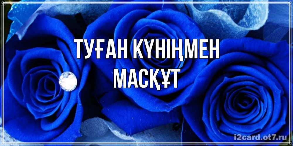 Күн сайын ашық хат с именем, МАСҚҰТ Туған күніңмен синие розы в росе Онлайн тегін жүктеп алу тілектері бар керемет карта 