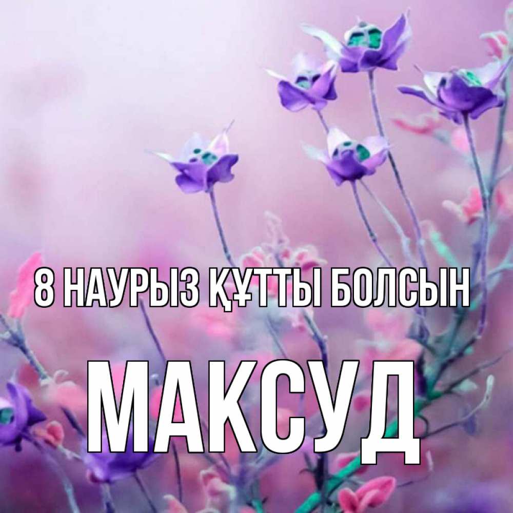 Күн сайын ашық хат с именем, Максуд 8 наурыз құтты болсын международный женский день 2 Онлайн тегін жүктеп алу тілектері бар керемет карта 