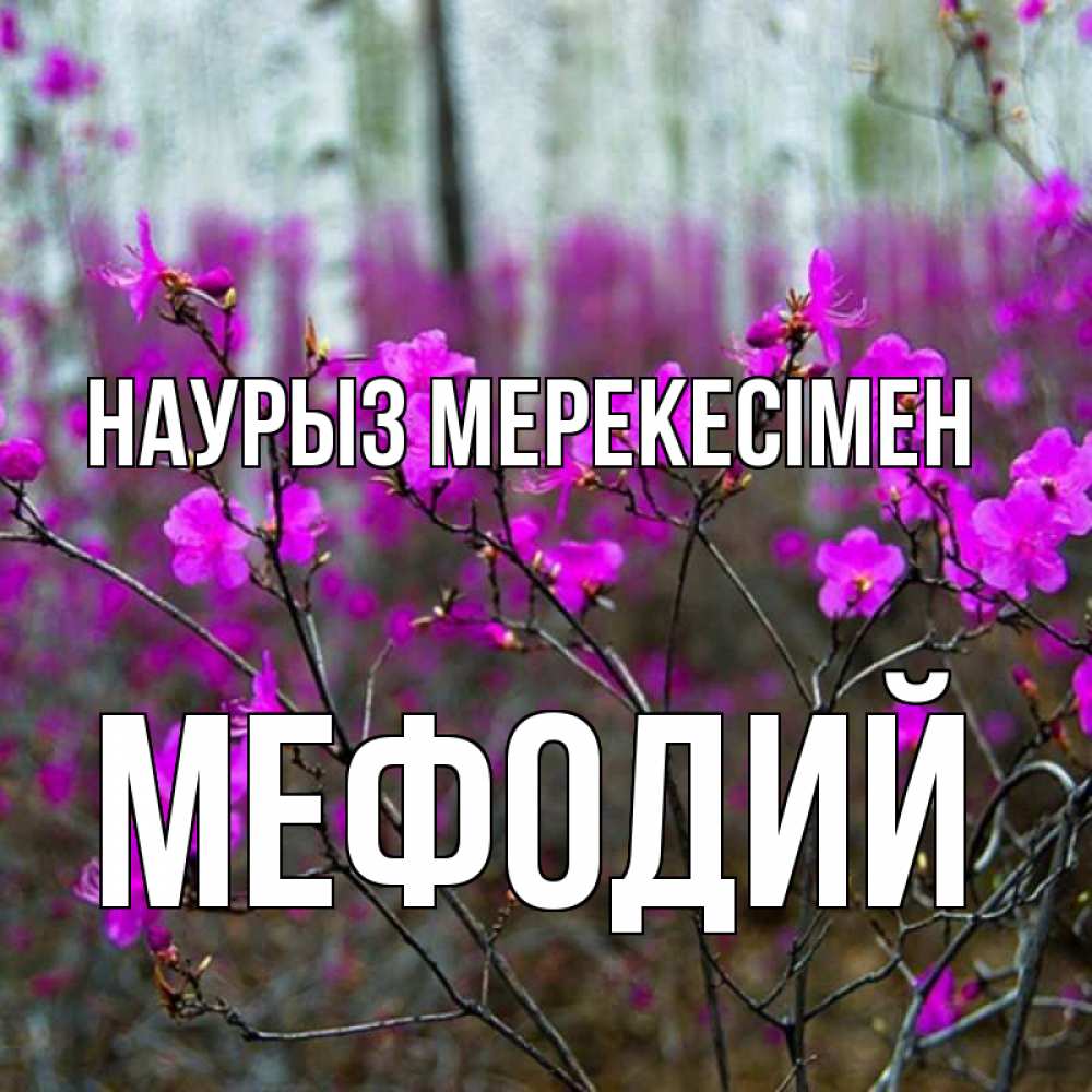 Күн сайын ашық хат с именем, Мефодий Наурыз мерекесімен дикие цветы Онлайн тегін жүктеп алу тілектері бар керемет карта 