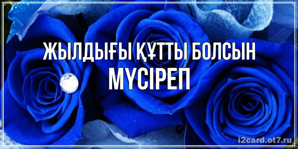 Күн сайын ашық хат с именем, МҮСІРЕП Жылдығы құтты болсын синие розы в росе Онлайн тегін жүктеп алу тілектері бар керемет карта 