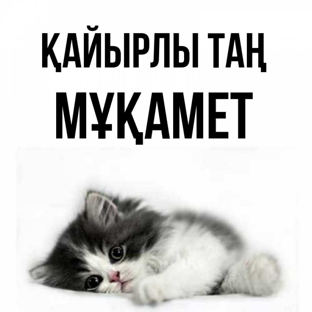 Күн сайын ашық хат с именем, МҰҚАМЕТ Қайырлы таң кот лапки Онлайн тегін жүктеп алу тілектері бар керемет карта 