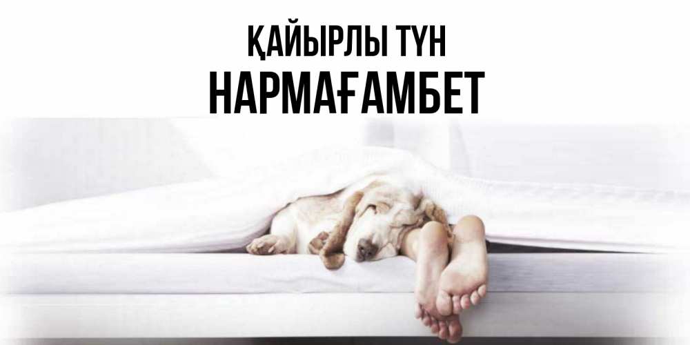Күн сайын ашық хат с именем, НАРМАҒАМБЕТ Қайырлы түн кровать с собакой пожелание сладких снов и спокойной ночи Онлайн тегін жүктеп алу тілектері бар керемет карта 