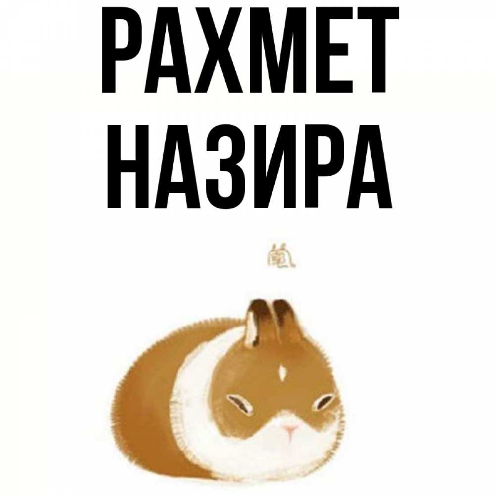 Күн сайын ашық хат с именем, Назира рахмет коричнево белый домашний питомец Онлайн тегін жүктеп алу тілектері бар керемет карта 