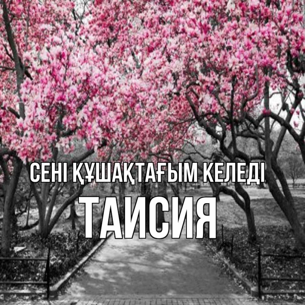 Күн сайын ашық хат с именем, Таисия сені құшақтағым келеді обработанное фото Онлайн тегін жүктеп алу тілектері бар керемет карта 