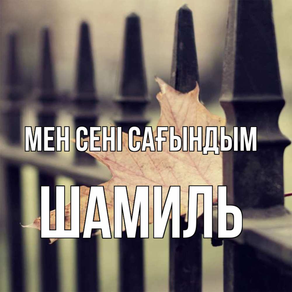 Күн сайын ашық хат с именем, Шамиль Мен сені сағындым очень скучно Онлайн тегін жүктеп алу тілектері бар керемет карта 
