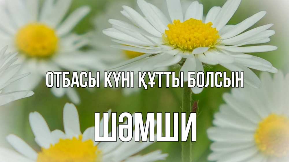 Күн сайын ашық хат с именем, ШӘМШИ отбасы күні құтты болсын с днем семьи  1 Онлайн тегін жүктеп алу тілектері бар керемет карта 