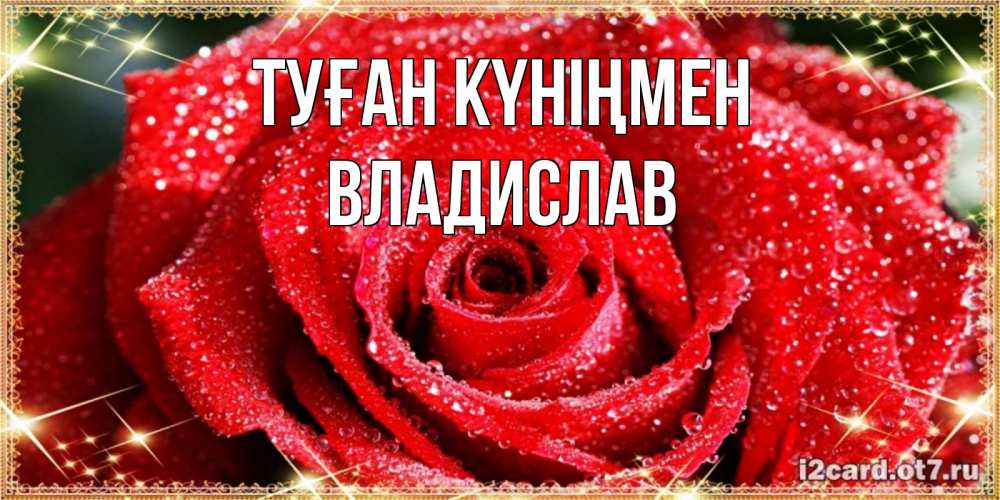 Күн сайын ашық хат с именем, Владислав Туған күніңмен роса и роза. открытка с красивой розой Онлайн тегін жүктеп алу тілектері бар керемет карта 