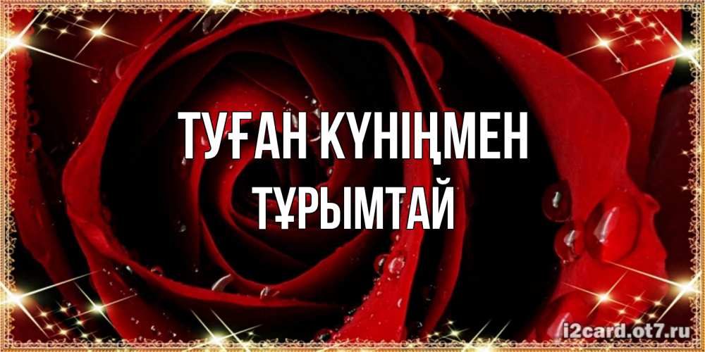 Күн сайын ашық хат с именем, ТҰРЫМТАЙ Туған күніңмен цветок в росе на день рождения Онлайн тегін жүктеп алу тілектері бар керемет карта 