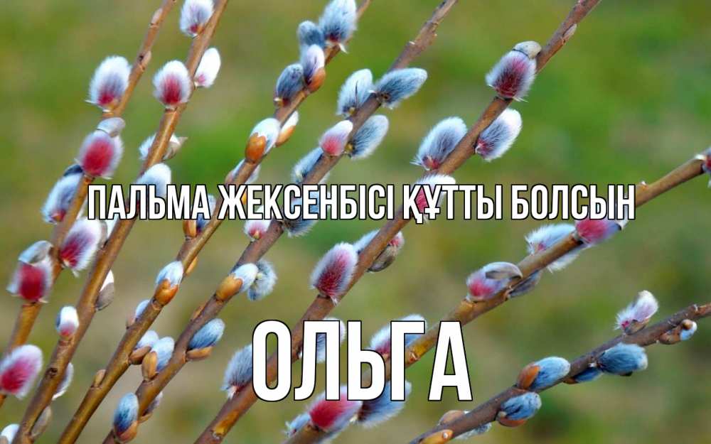 Картинка Пальма жексенбісі құтты болсын, Ольга