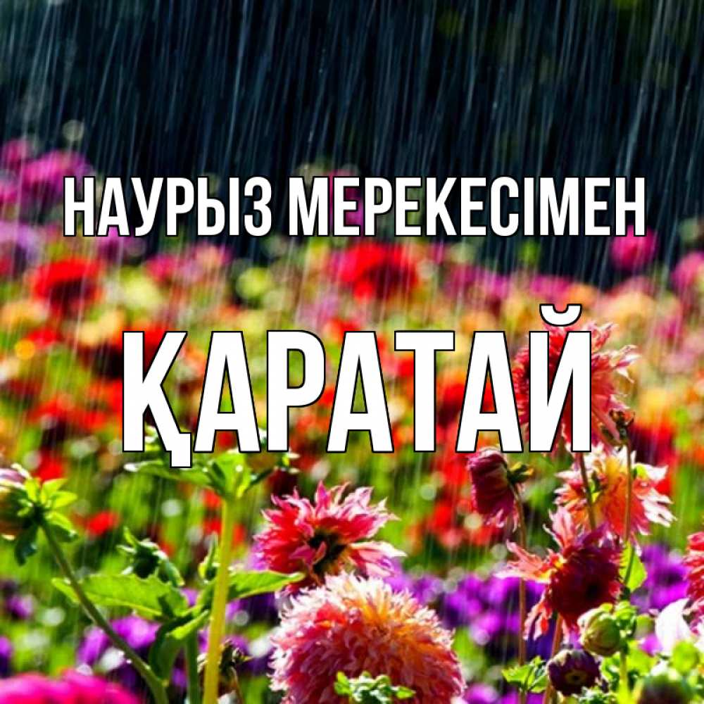 Күн сайын ашық хат с именем, Қаратай Наурыз мерекесімен цветы под дождиком к международному женскому дню Онлайн тегін жүктеп алу тілектері бар керемет карта 