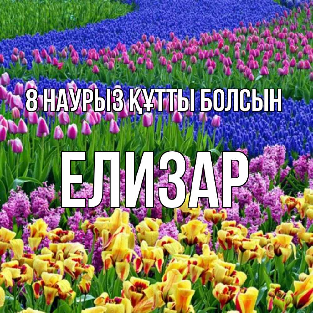 Күн сайын ашық хат с именем, Елизар 8 наурыз құтты болсын цветы Онлайн тегін жүктеп алу тілектері бар керемет карта 