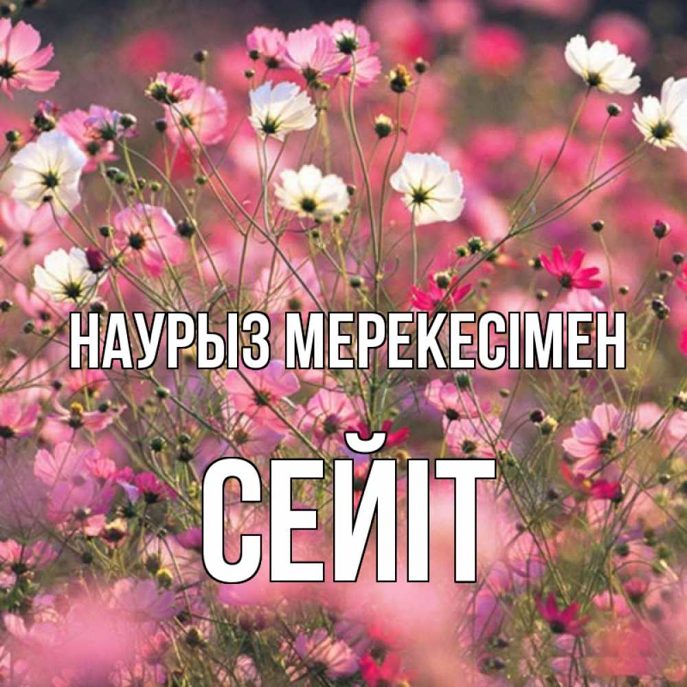 Күн сайын ашық хат с именем, СЕЙІТ Наурыз мерекесімен красиво 1 Онлайн тегін жүктеп алу тілектері бар керемет карта 