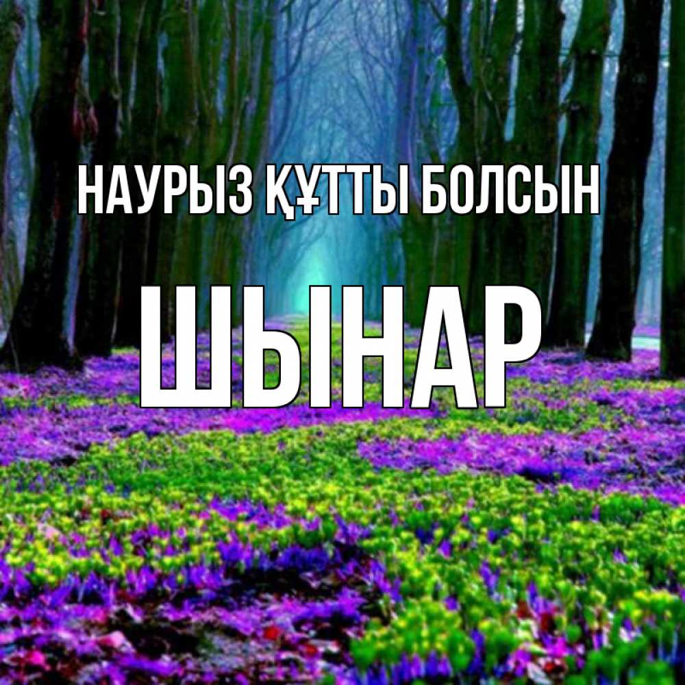 Күн сайын ашық хат с именем, ШЫНАР Наурыз құтты болсын фиолетовые цветы в лесу 1 Онлайн тегін жүктеп алу тілектері бар керемет карта 