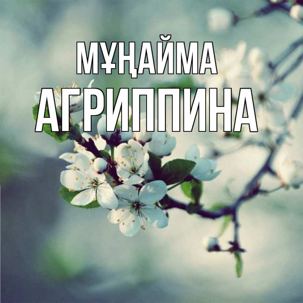 Күн сайын ашық хат с именем, Агриппина Мұңайма яблоня в цвету 1 Онлайн тегін жүктеп алу тілектері бар керемет карта 