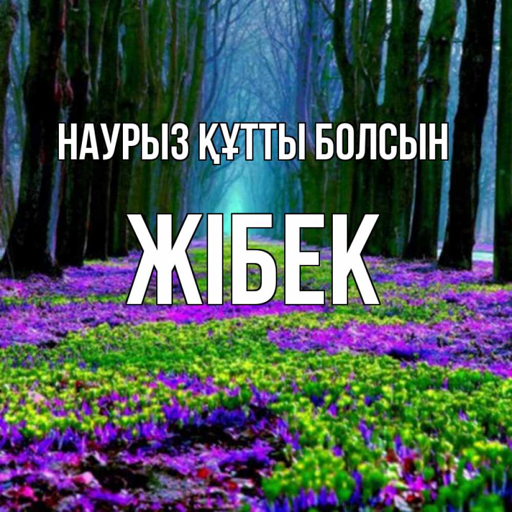 Күн сайын ашық хат с именем, ЖІБЕК Наурыз құтты болсын фиолетовые цветы в лесу 1 Онлайн тегін жүктеп алу тілектері бар керемет карта 