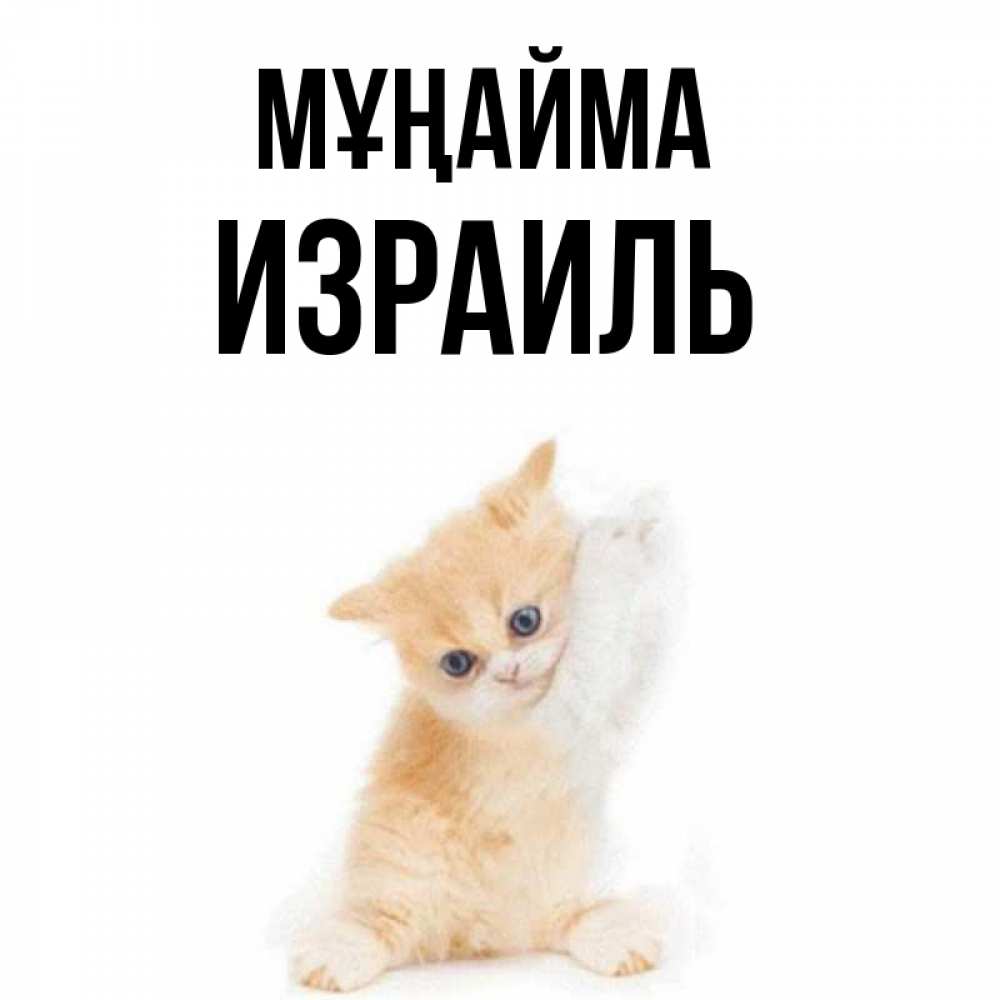 Күн сайын ашық хат с именем, Израиль Мұңайма просящий кот Онлайн тегін жүктеп алу тілектері бар керемет карта 