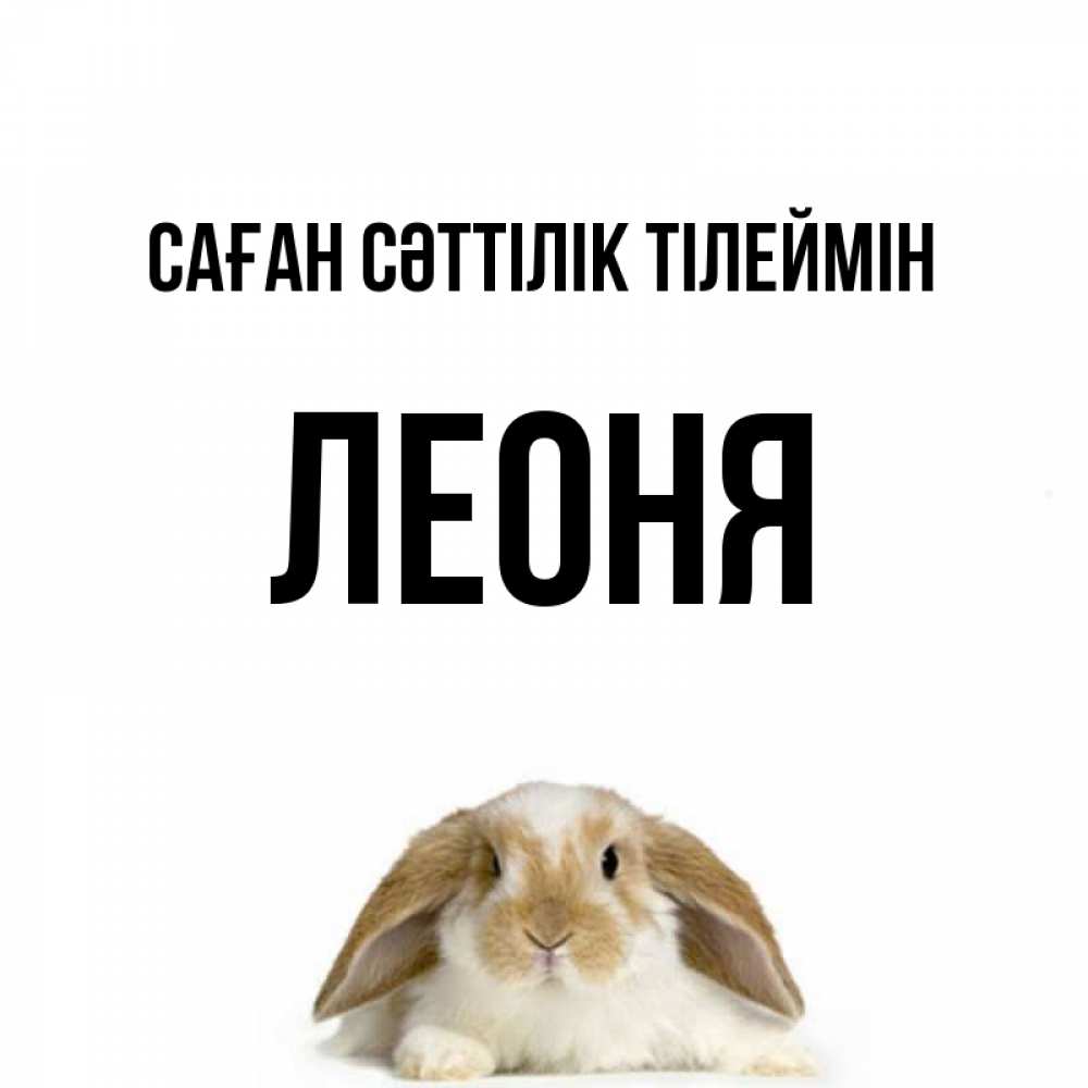 Күн сайын ашық хат с именем, Леоня Саған сәттілік тілеймін открытки с произвольным текстом который можно вставить в открытку и создать ее самостоятельно бесплатно онлайн Онлайн тегін жүктеп алу тілектері бар керемет карта 