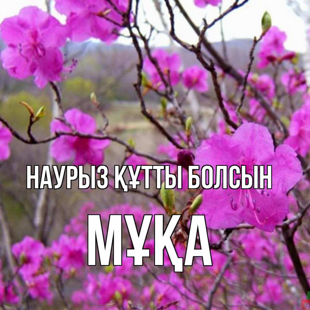 Күн сайын ашық хат с именем, МҰҚА Наурыз құтты болсын наурыз мейрамы кутты болсын Онлайн тегін жүктеп алу тілектері бар керемет карта 