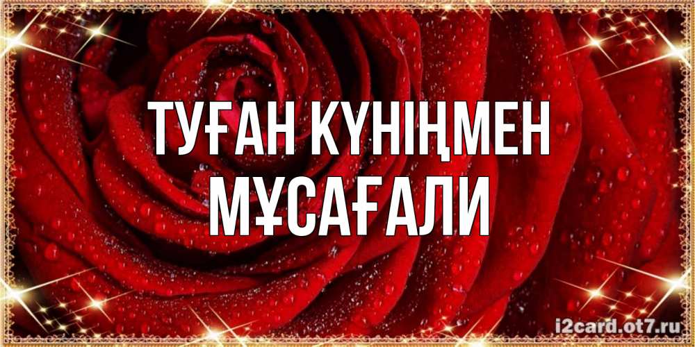 Күн сайын ашық хат с именем, Мұсағали Туған күніңмен роса на розе блестящая в лучах солнца Онлайн тегін жүктеп алу тілектері бар керемет карта 