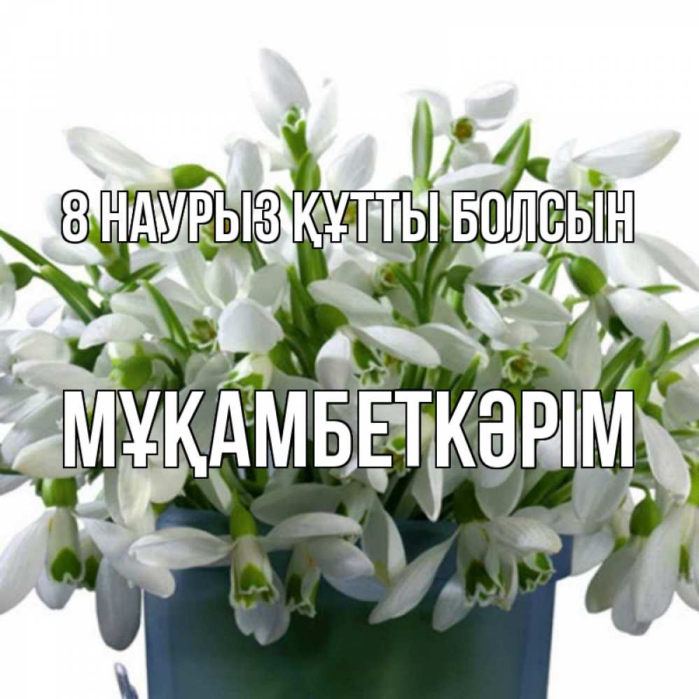 Күн сайын ашық хат с именем, Мұқамбеткәрім 8 наурыз құтты болсын цветы к международному женскому дню Онлайн тегін жүктеп алу тілектері бар керемет карта 