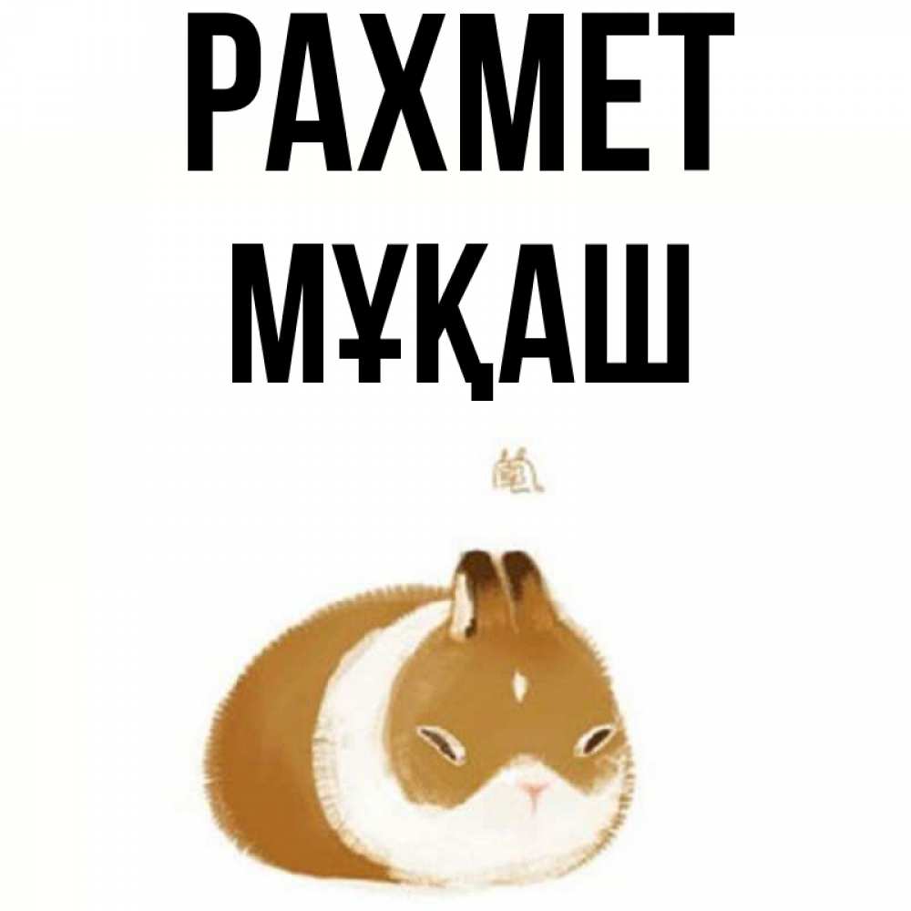 Күн сайын ашық хат с именем, Мұқаш рахмет коричнево белый домашний питомец Онлайн тегін жүктеп алу тілектері бар керемет карта 