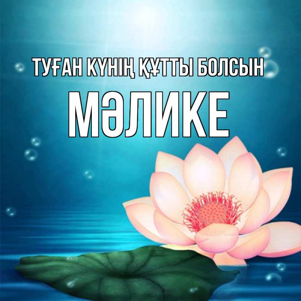 Күн сайын ашық хат с именем, МӘЛИКЕ Туған күнің құтты болсын кувшинка Онлайн тегін жүктеп алу тілектері бар керемет карта 