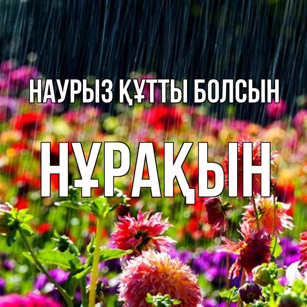 Күн сайын ашық хат с именем, НҰРАҚЫН Наурыз құтты болсын цветы под дождиком к наурызу Онлайн тегін жүктеп алу тілектері бар керемет карта 