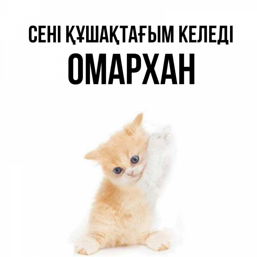 Күн сайын ашық хат с именем, ОМАРХАН сені құшақтағым келеді я хочу очень скорее обнимаешек Онлайн тегін жүктеп алу тілектері бар керемет карта 
