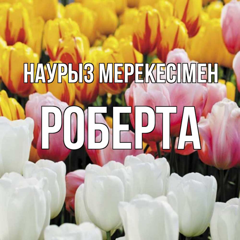 Күн сайын ашық хат с именем, Роберта Наурыз мерекесімен разноцветные цветы Онлайн тегін жүктеп алу тілектері бар керемет карта 