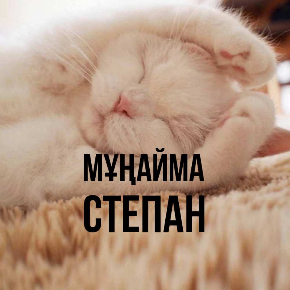 Күн сайын ашық хат с именем, Степан Мұңайма Котенок спит Онлайн тегін жүктеп алу тілектері бар керемет карта 