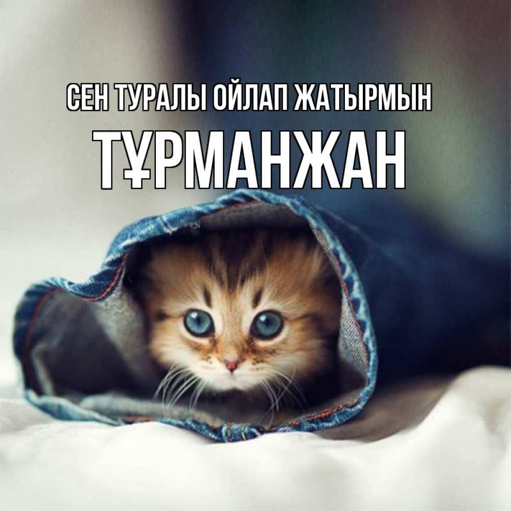 Күн сайын ашық хат с именем, ТҰРМАНЖАН Сен туралы ойлап жатырмын мне без тебя плохо Онлайн тегін жүктеп алу тілектері бар керемет карта 