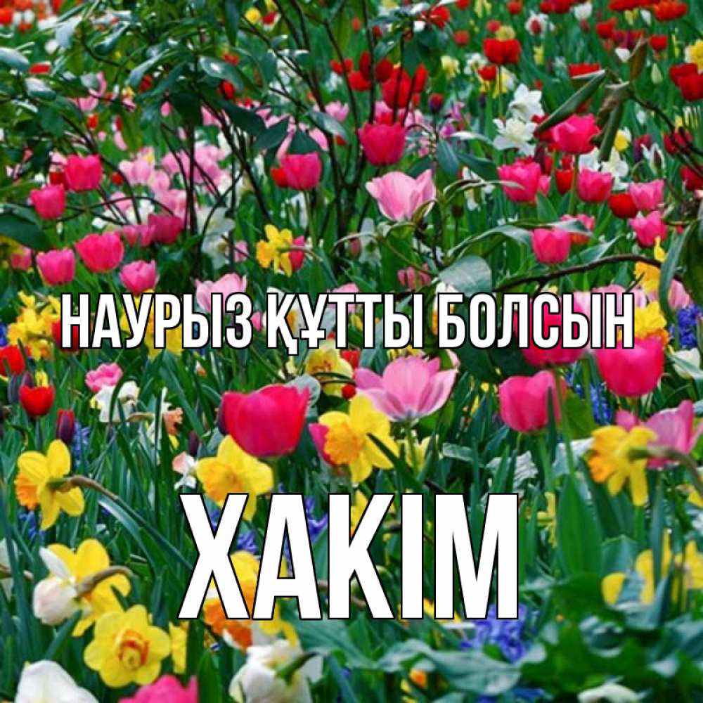 Күн сайын ашық хат с именем, ХАКІМ Наурыз құтты болсын с наурызом поздравления для женщины Онлайн тегін жүктеп алу тілектері бар керемет карта 