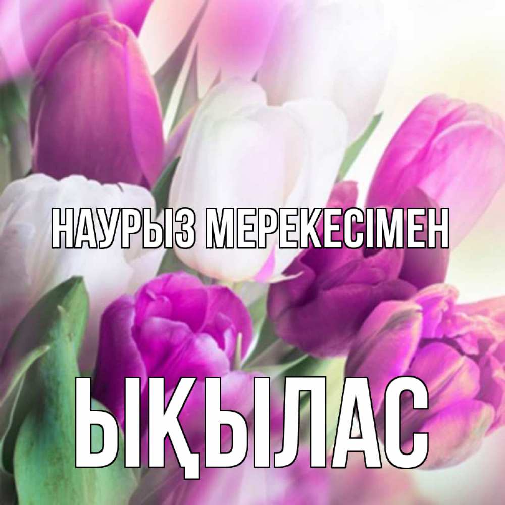 Күн сайын ашық хат с именем, ЫҚЫЛАС Наурыз мерекесімен весна 1 Онлайн тегін жүктеп алу тілектері бар керемет карта 