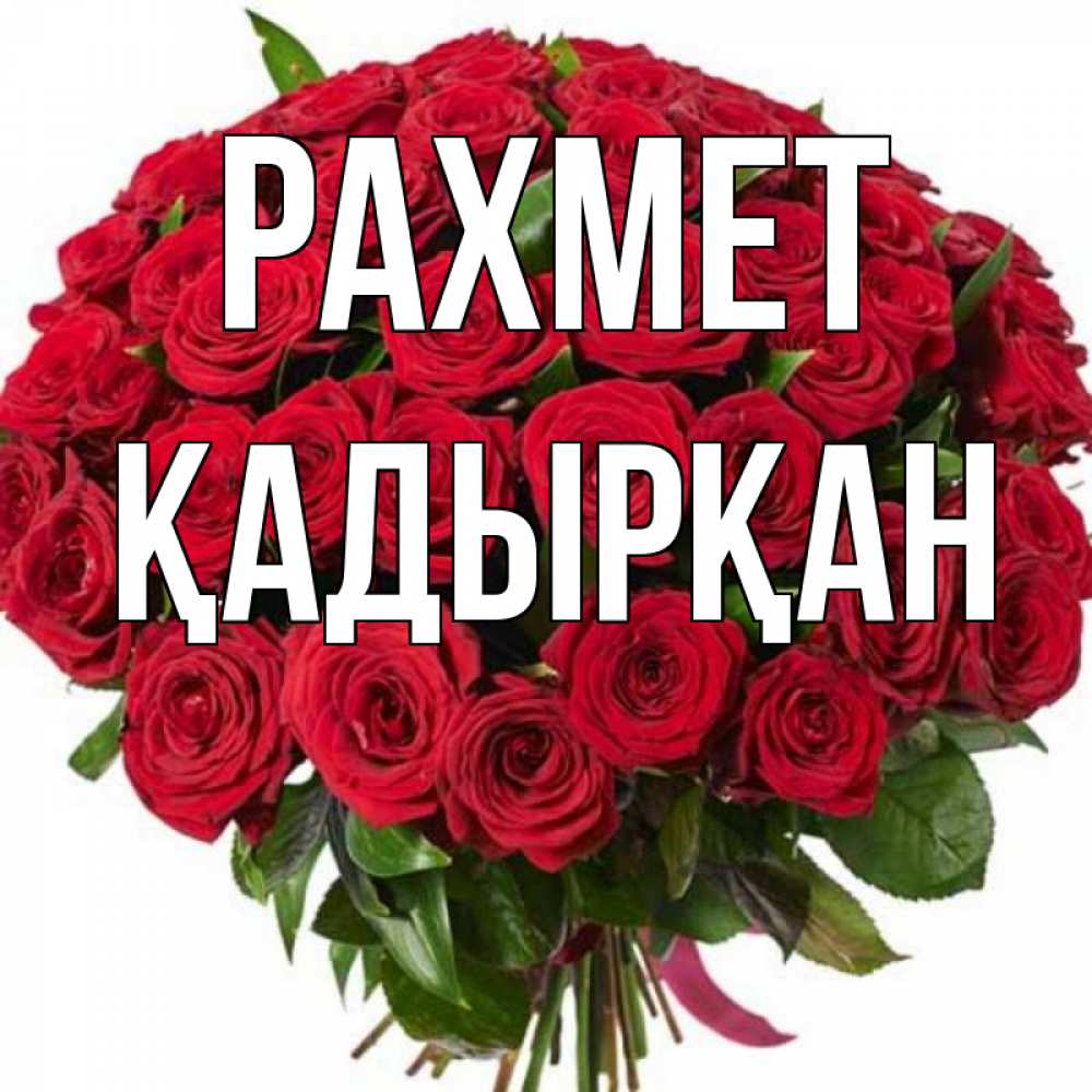 Күн сайын ашық хат с именем, Қадырқан рахмет букет красных роз Онлайн тегін жүктеп алу тілектері бар керемет карта 