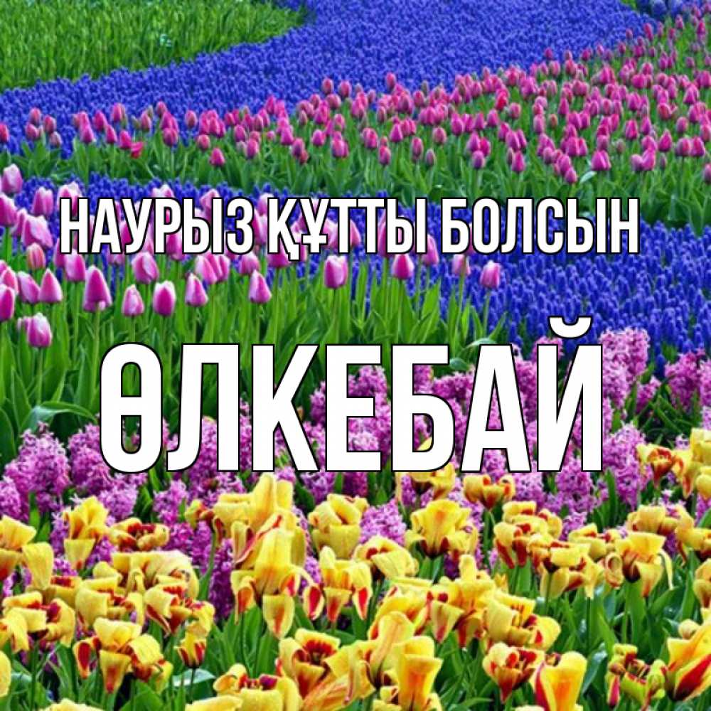 Күн сайын ашық хат с именем, ӨЛКЕБАЙ Наурыз құтты болсын цветы Онлайн тегін жүктеп алу тілектері бар керемет карта 