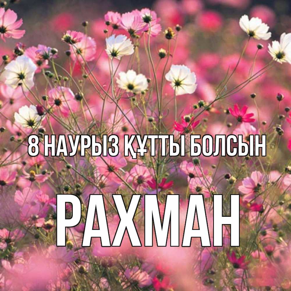 Күн сайын ашық хат с именем, РАХМАН 8 наурыз құтты болсын красиво 1 Онлайн тегін жүктеп алу тілектері бар керемет карта 