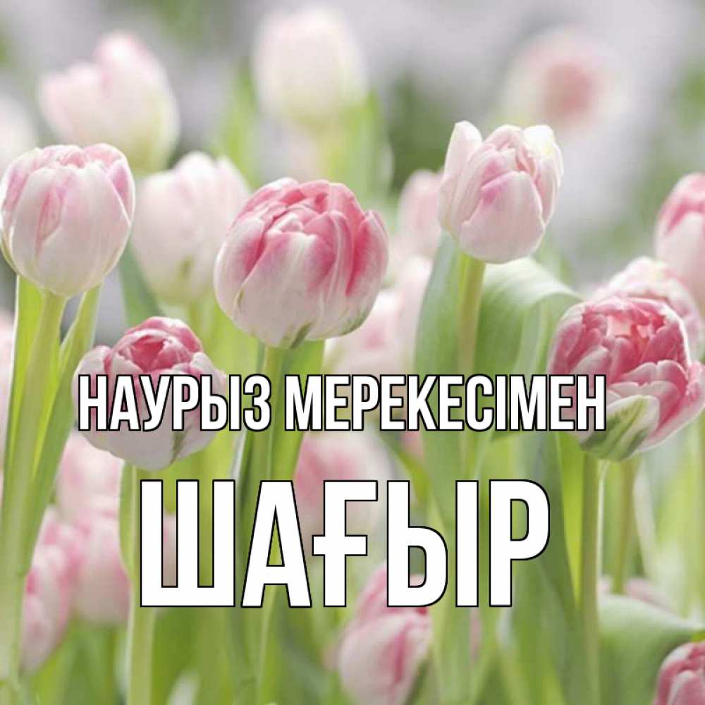 Күн сайын ашық хат с именем, ШАҒЫР Наурыз мерекесімен цветы Онлайн тегін жүктеп алу тілектері бар керемет карта 