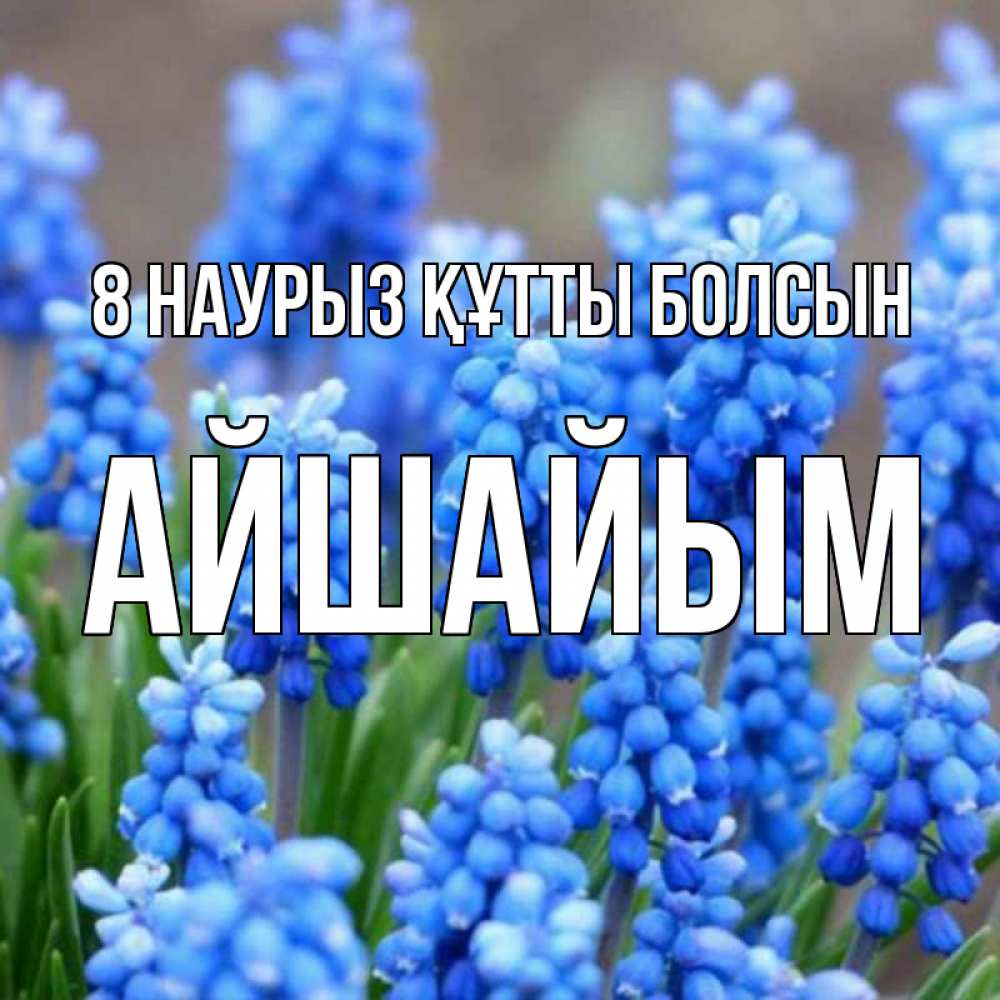 Күн сайын ашық хат с именем, АЙШАЙЫМ 8 наурыз құтты болсын Поздравительная открытка для женщин с цветами на праздничную дату Онлайн тегін жүктеп алу тілектері бар керемет карта 