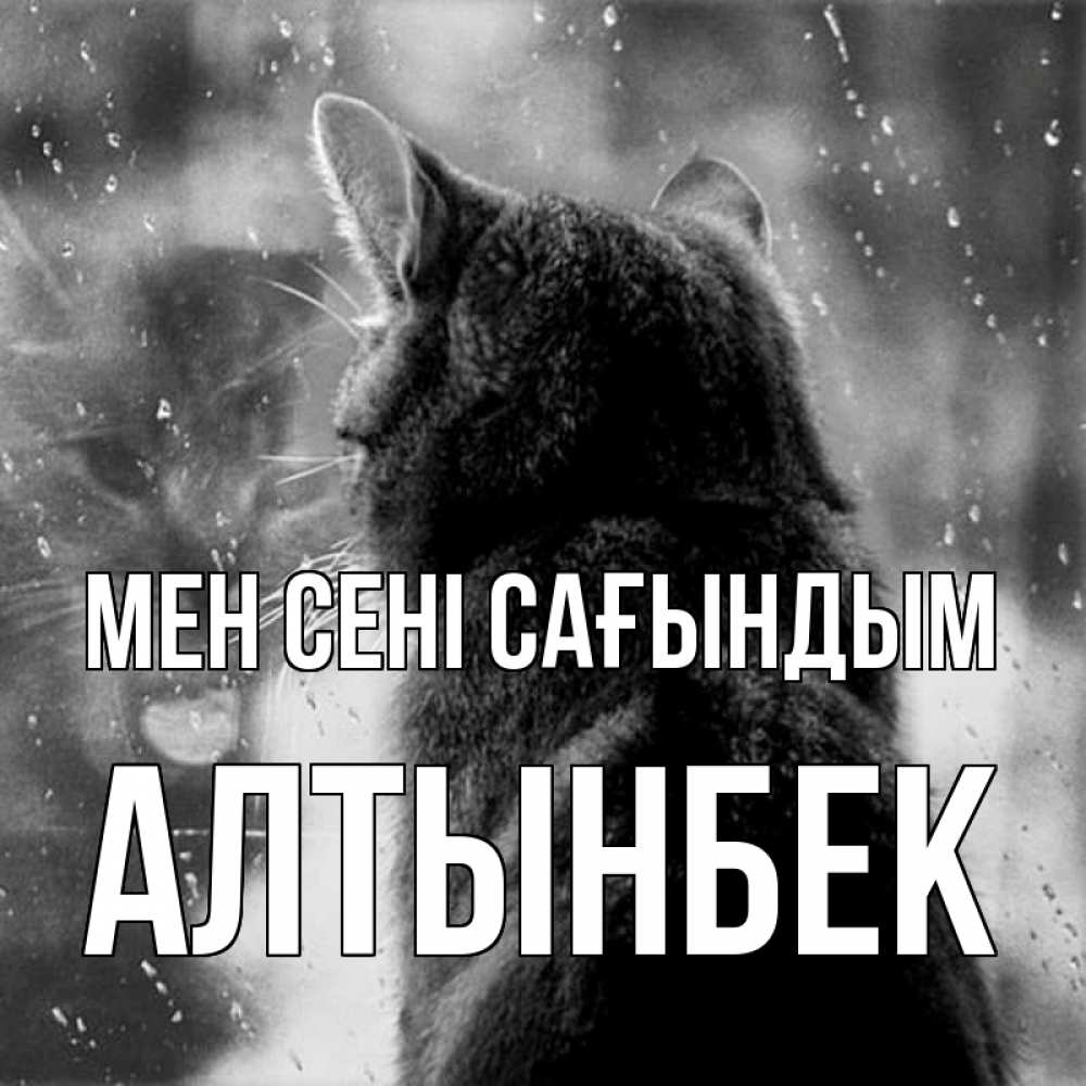 Күн сайын ашық хат с именем, Алтынбек Мен сені сағындым скорее ко мне приходи 1 Онлайн тегін жүктеп алу тілектері бар керемет карта 