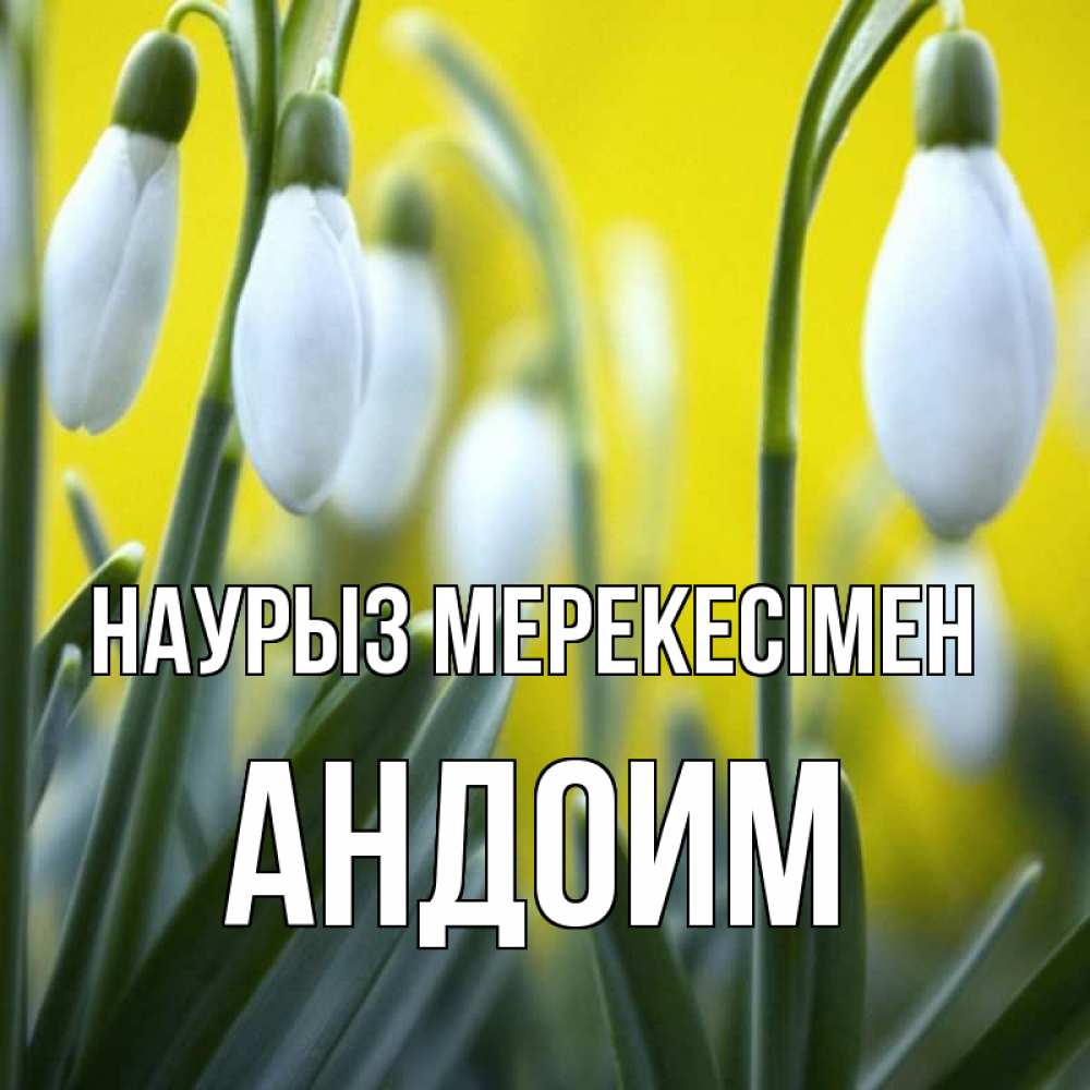 Күн сайын ашық хат с именем, Андоим Наурыз мерекесімен весенние цветы Онлайн тегін жүктеп алу тілектері бар керемет карта 