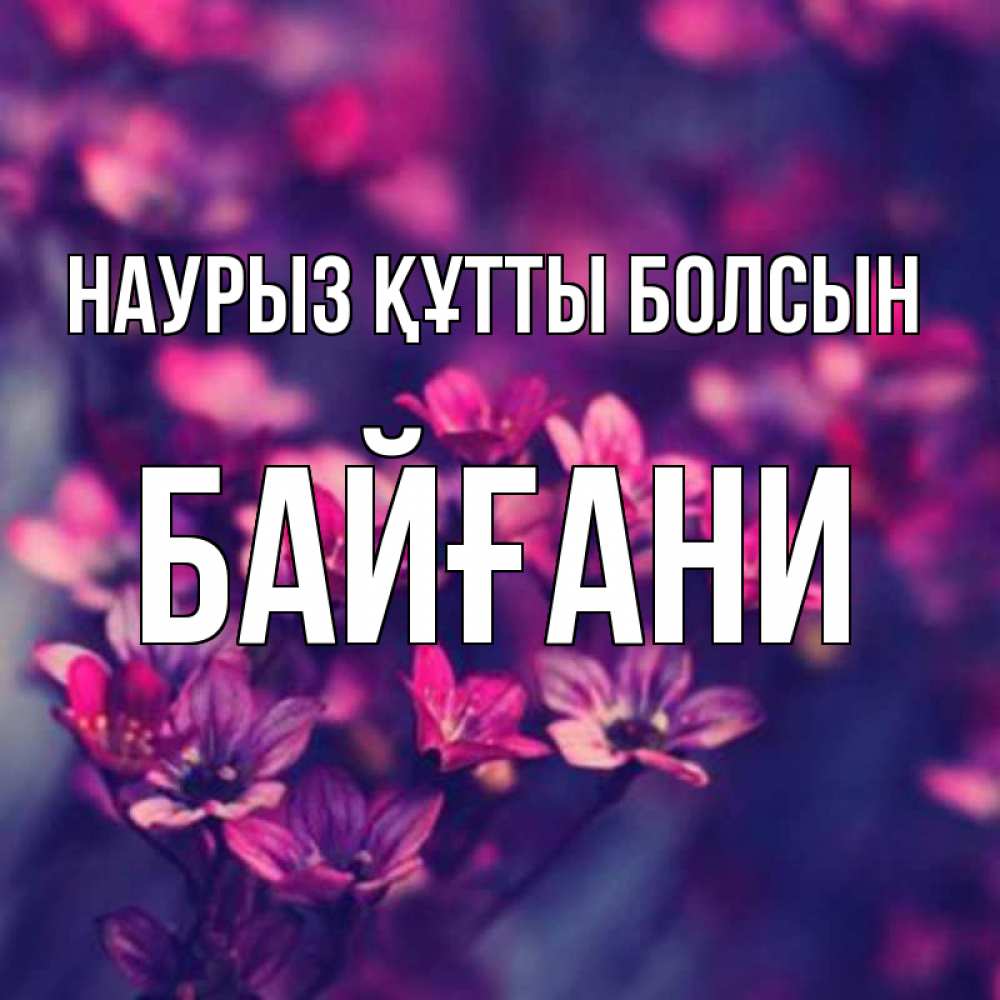 Күн сайын ашық хат с именем, Байғани Наурыз құтты болсын небольшие цветы 1 Онлайн тегін жүктеп алу тілектері бар керемет карта 
