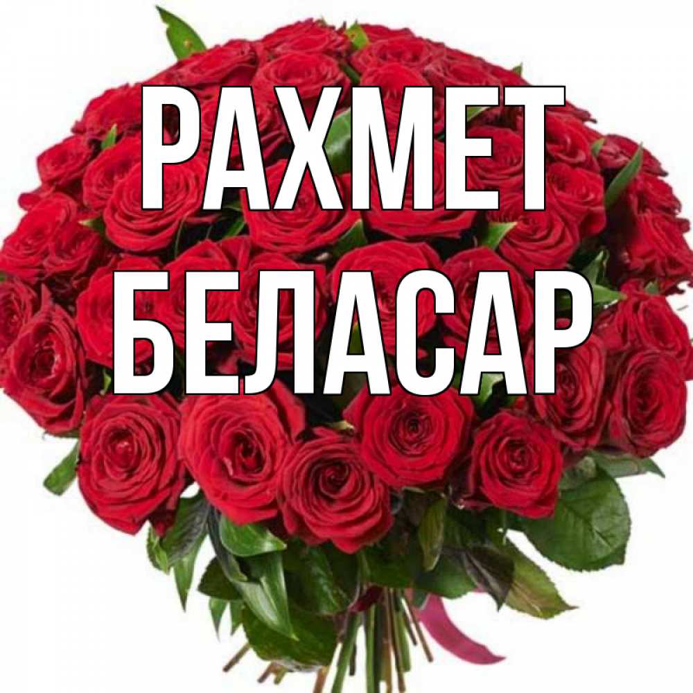 Күн сайын ашық хат с именем, Беласар рахмет букет красных роз Онлайн тегін жүктеп алу тілектері бар керемет карта 