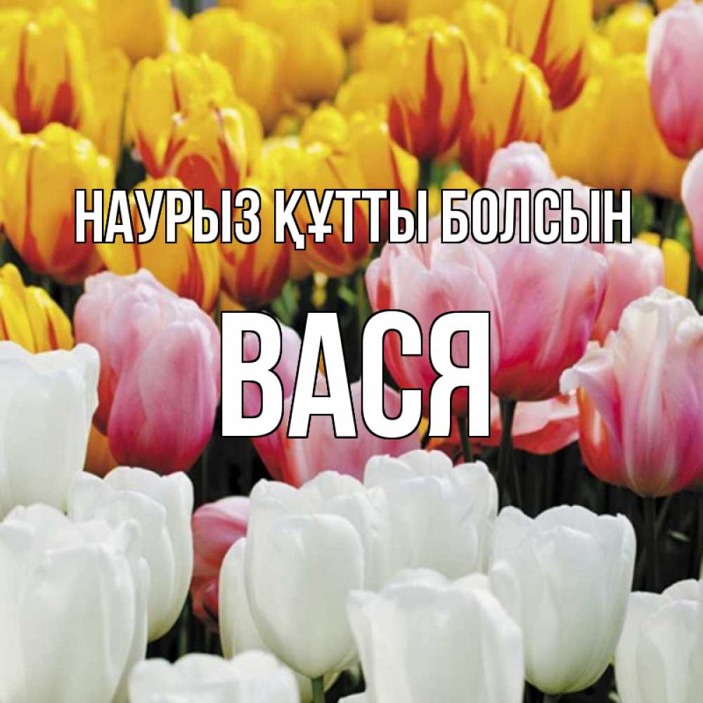 Күн сайын ашық хат с именем, Вася Наурыз құтты болсын разноцветные цветы Онлайн тегін жүктеп алу тілектері бар керемет карта 
