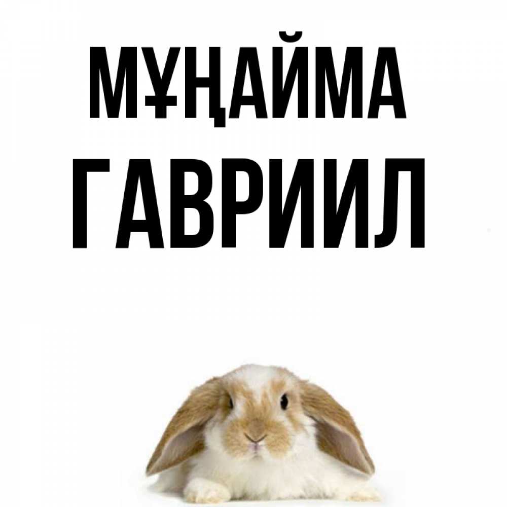 Күн сайын ашық хат с именем, Гавриил Мұңайма коричнево белый заяц с большими ушками Онлайн тегін жүктеп алу тілектері бар керемет карта 