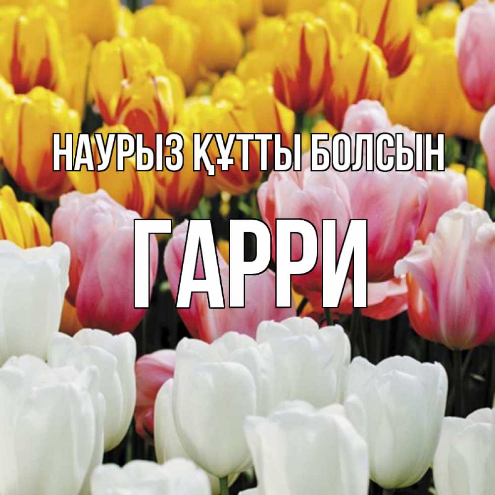 Күн сайын ашық хат с именем, Гарри Наурыз құтты болсын разноцветные цветы Онлайн тегін жүктеп алу тілектері бар керемет карта 