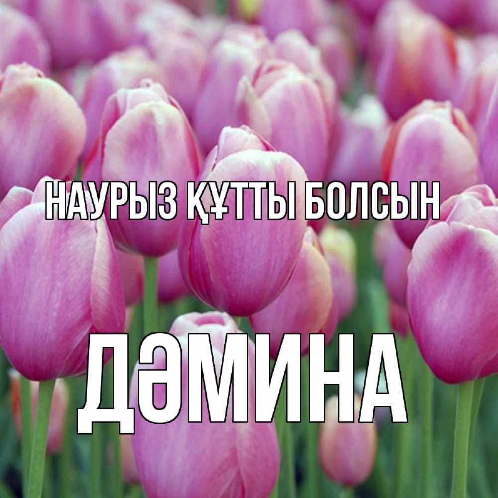 Күн сайын ашық хат с именем, ДӘМИНА Наурыз құтты болсын на наурыз  день 3 Онлайн тегін жүктеп алу тілектері бар керемет карта 